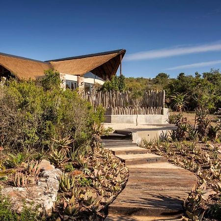Lalibela Game Reserve - Kichaka Lodge Paterson Экстерьер фото