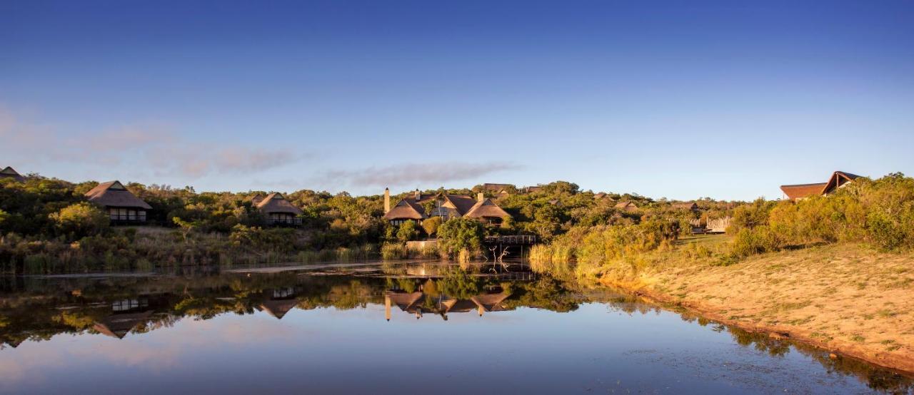 Lalibela Game Reserve - Kichaka Lodge Paterson Экстерьер фото